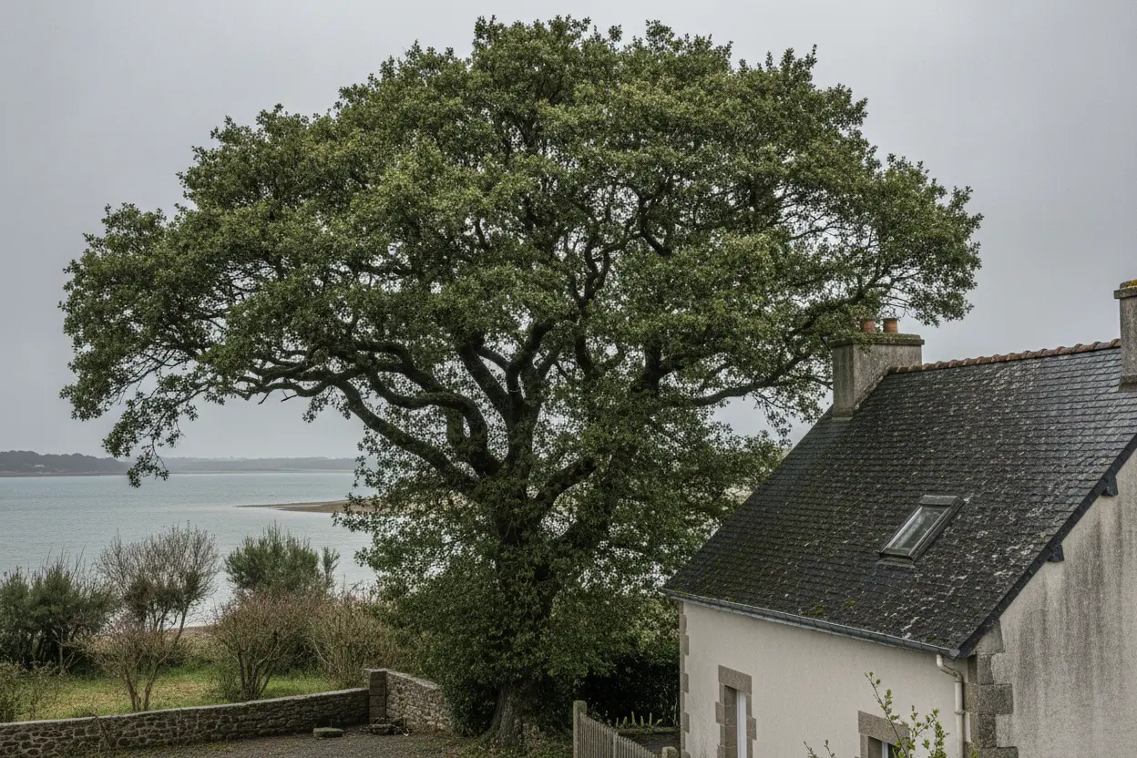 Chantier à Le Relecq-Kerhuon avant intervention